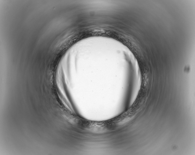X0000090500753200708102240