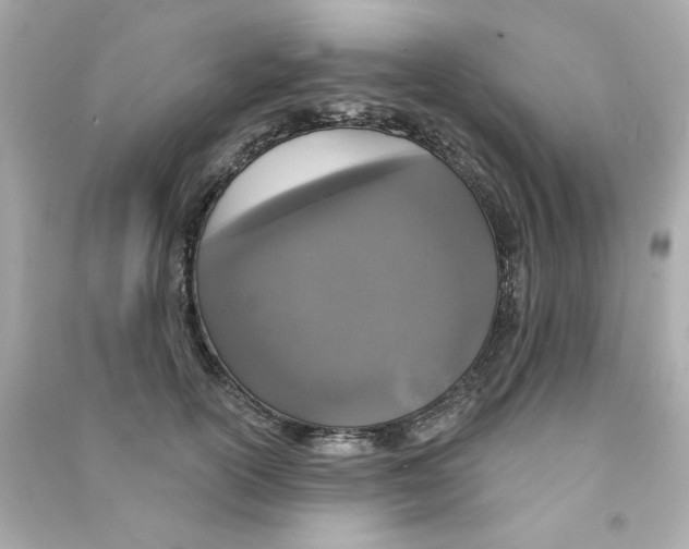 X0000090500754200708102241