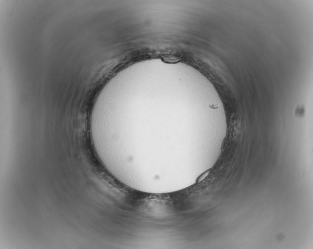 X0000090500756200708102241