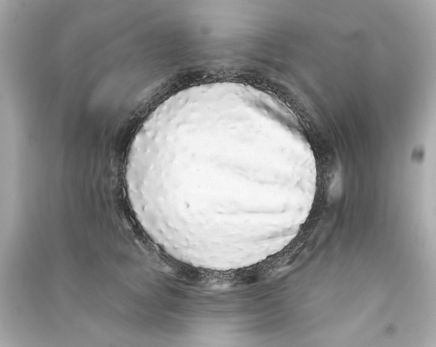 X0000090500757200708102241