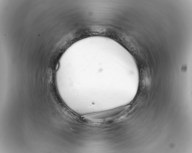 X0000090500758200708102241
