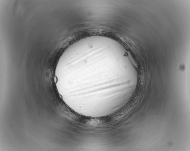 X0000090500759200708102241