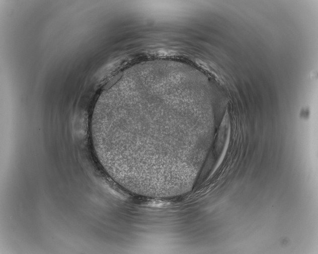 X0000090500760200708102241