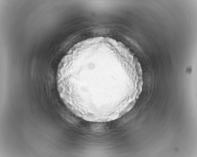 X0000090500761200708102241