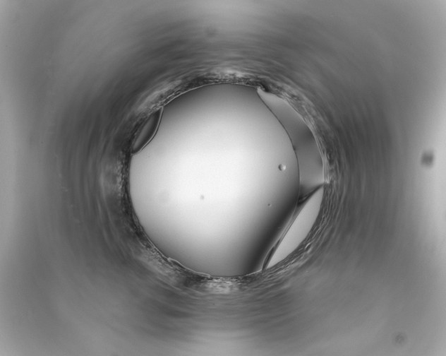 X0000090500762200708102241