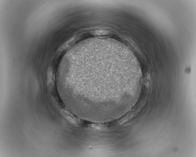 X0000090500763200708102241