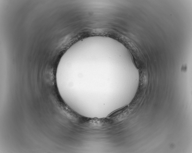 X0000090500764200708102241