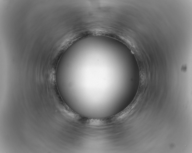 X0000090500766200708102241