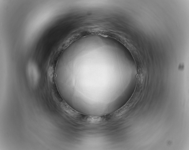 X0000090500767200708102241