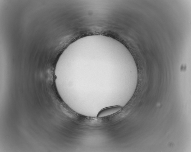 X0000090500768200708102241
