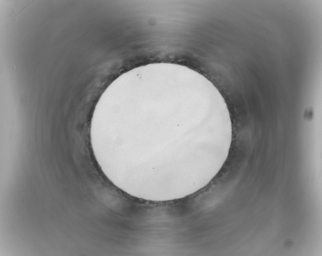X0000090500769200708102240