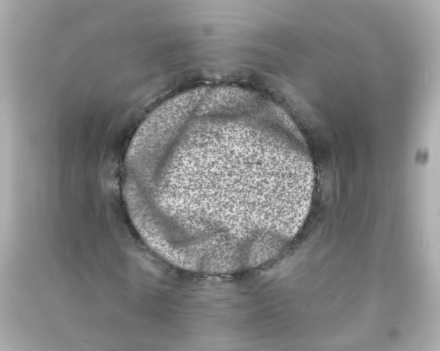 X0000090500770200708102240