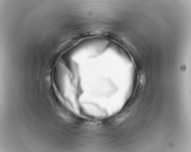 X0000090500771200708102240
