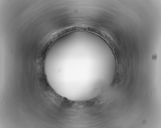 X0000090500773200708102240