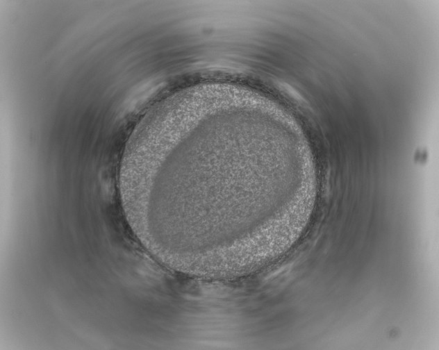 X0000090500774200708102240