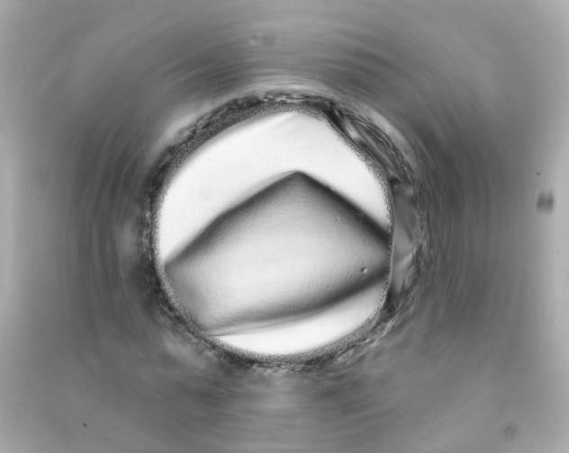 X0000090500775200708102240