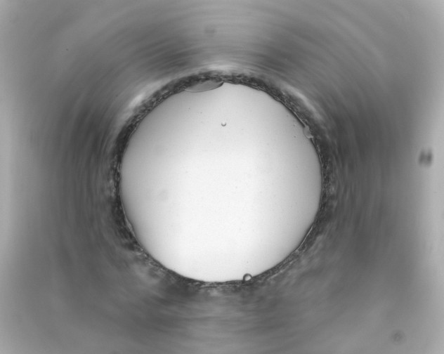 X0000090500776200708102240