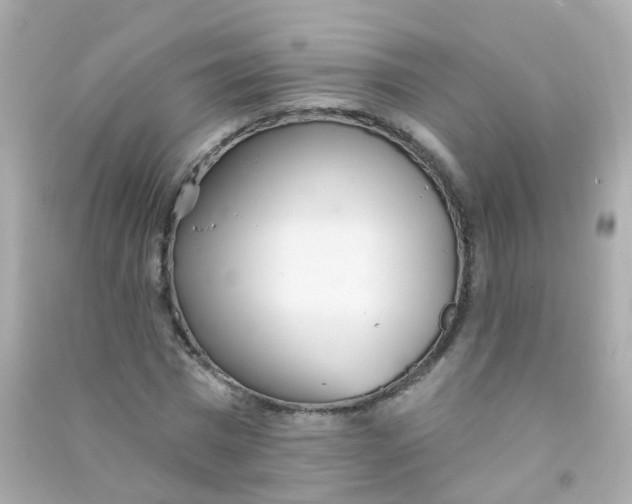 X0000090500777200708102240