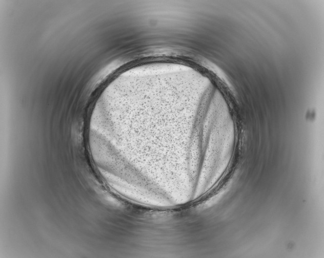 X0000090500778200708102240
