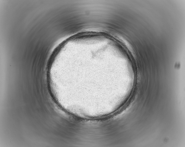 X0000090500779200708102240
