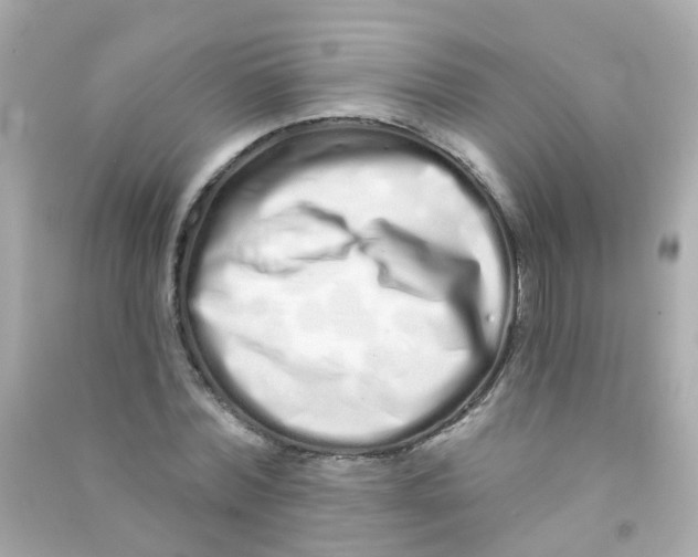 X0000090500780200708102240