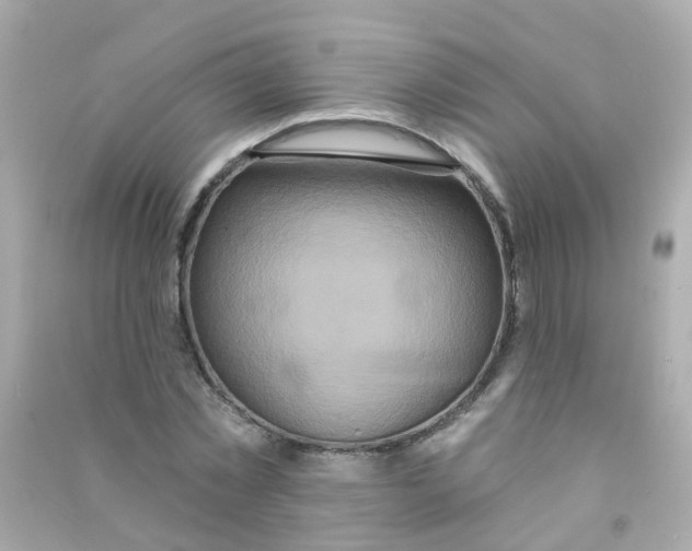 X0000090500781200708102240