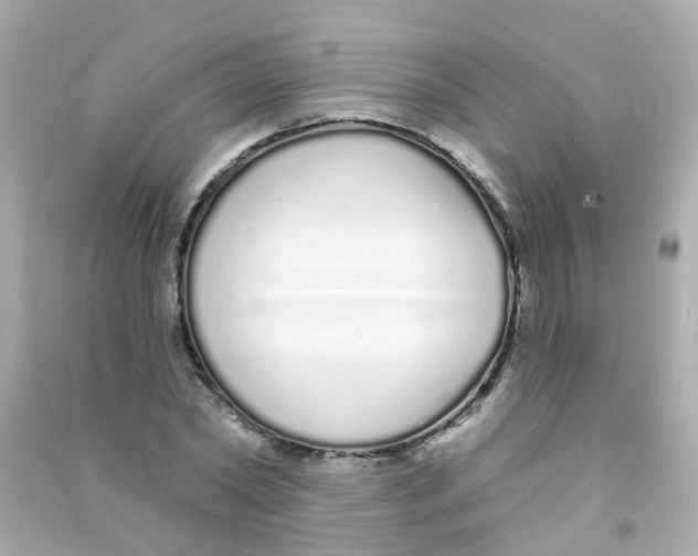 X0000090500782200708102240