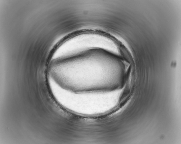 X0000090500783200708102240