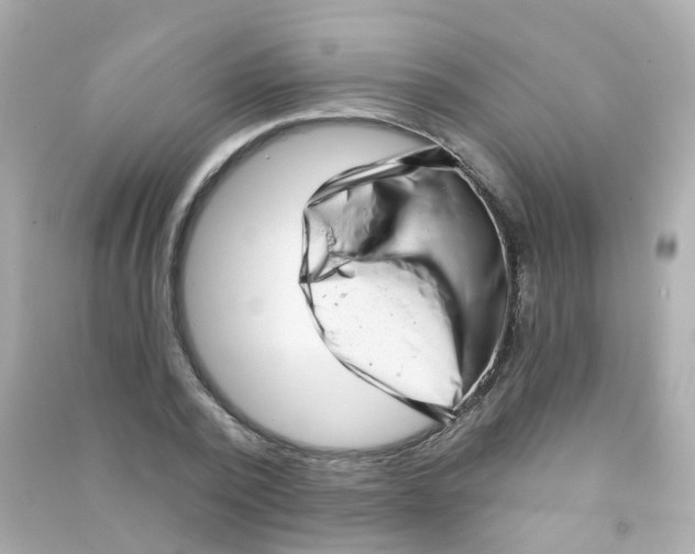 X0000090500784200708102240