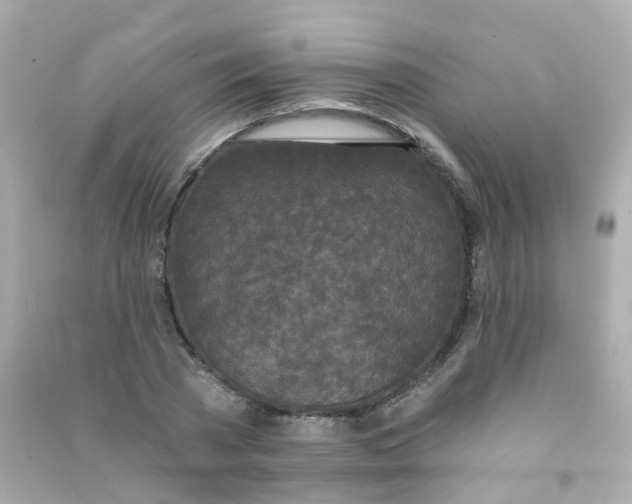 X0000090500785200708102240