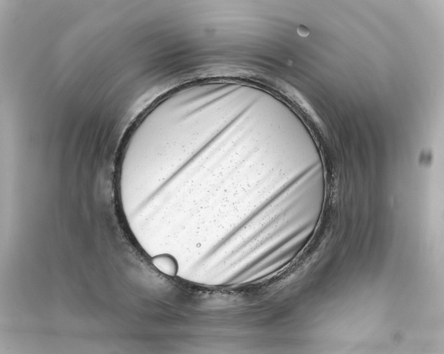 X0000090500786200708102240