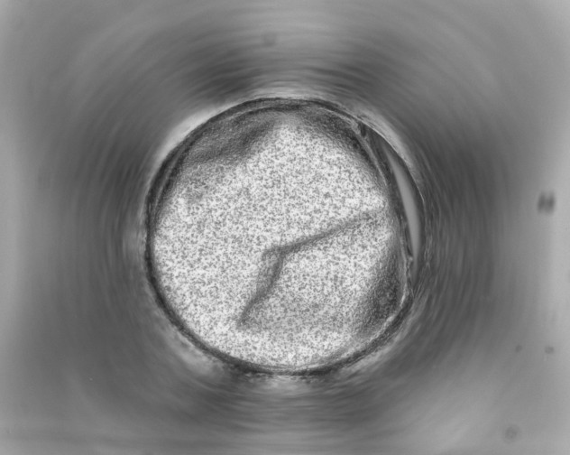 X0000090500787200708102240