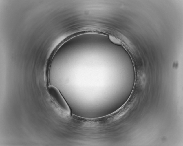 X0000090500788200708102240