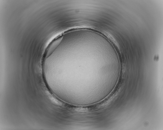 X0000090500789200708102240