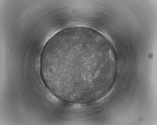 X0000090500790200708102240
