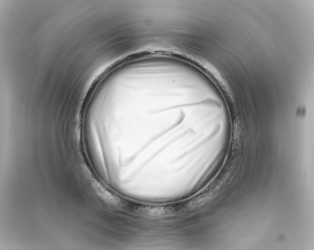 X0000090500791200708102240