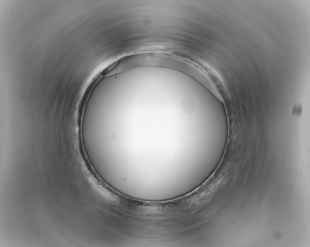 X0000090500792200708102240