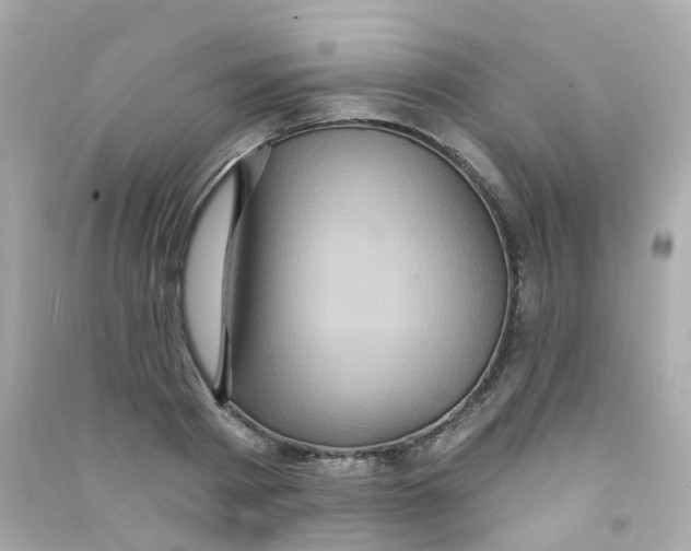 X0000090500793200708102240