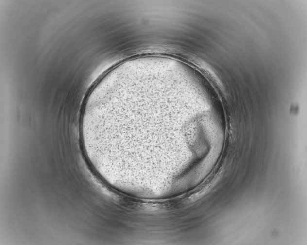X0000090500794200708102240
