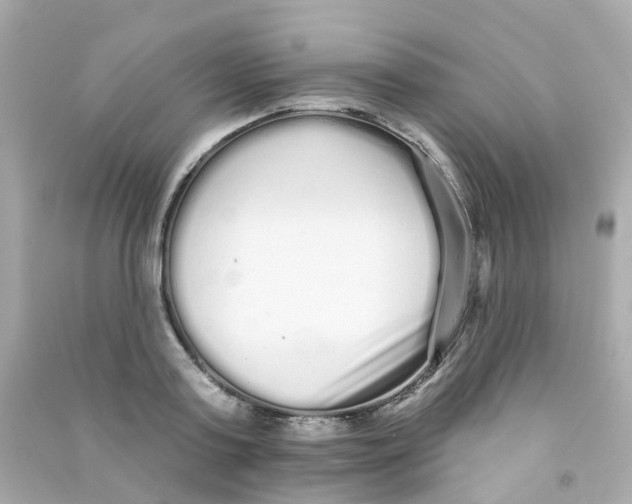 X0000090500795200708102240