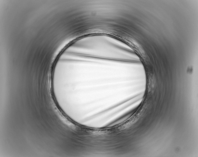 X0000090500796200708102240