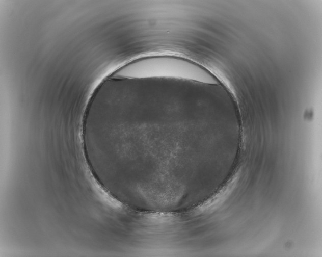 X0000090500797200708102240