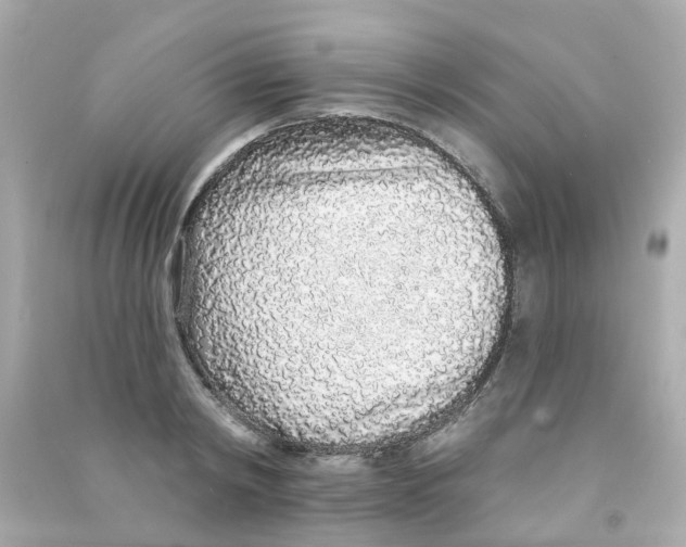 X0000090500798200708102240