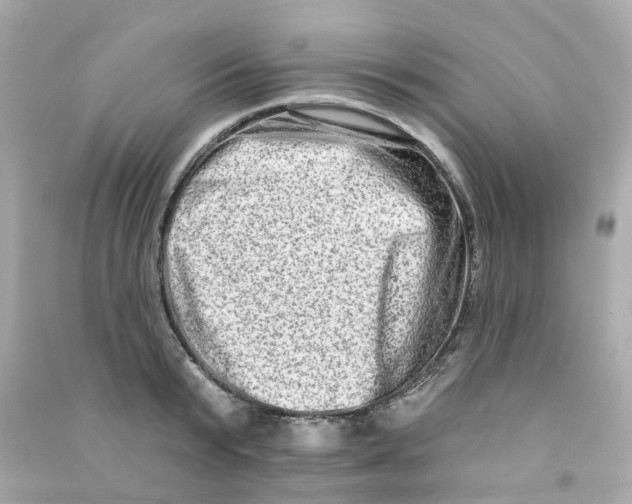 X0000090500799200708102240