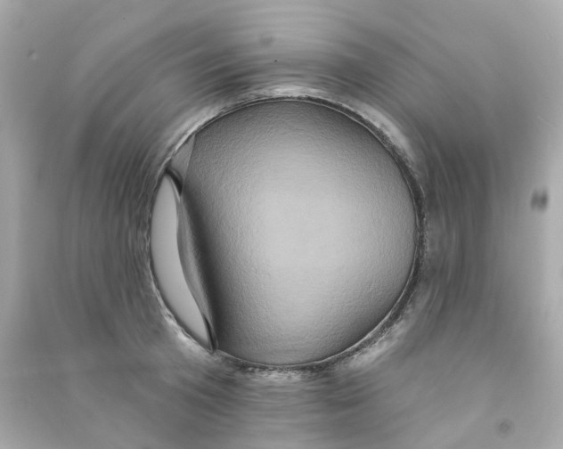 X0000090500801200708102240