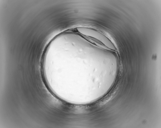 X0000090500803200708102240