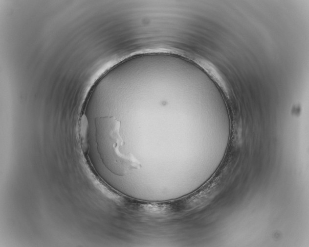 X0000090500805200708102240