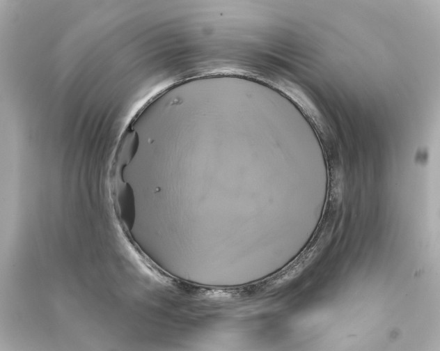 X0000090500806200708102240