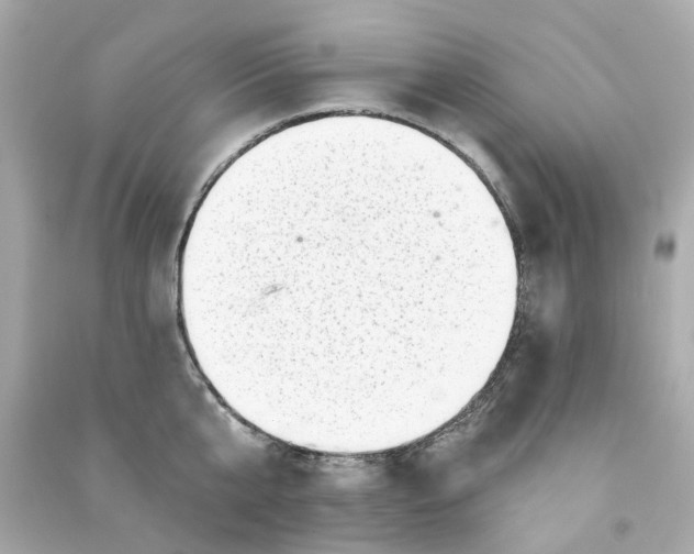 X0000090500807200708102240