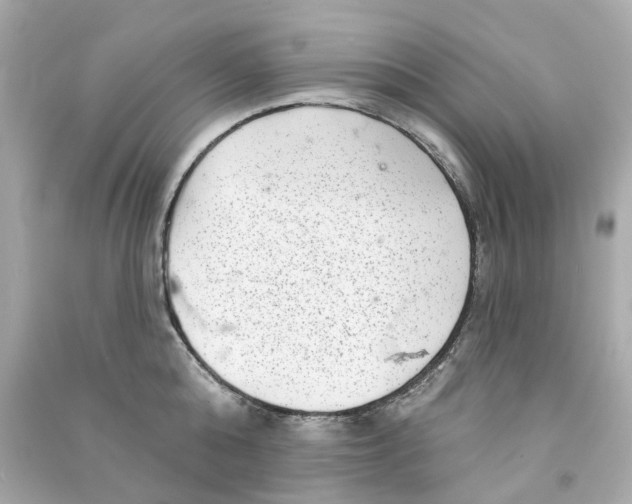 X0000090500808200708102239